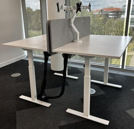 Used Narbutus Sit Stand Desks